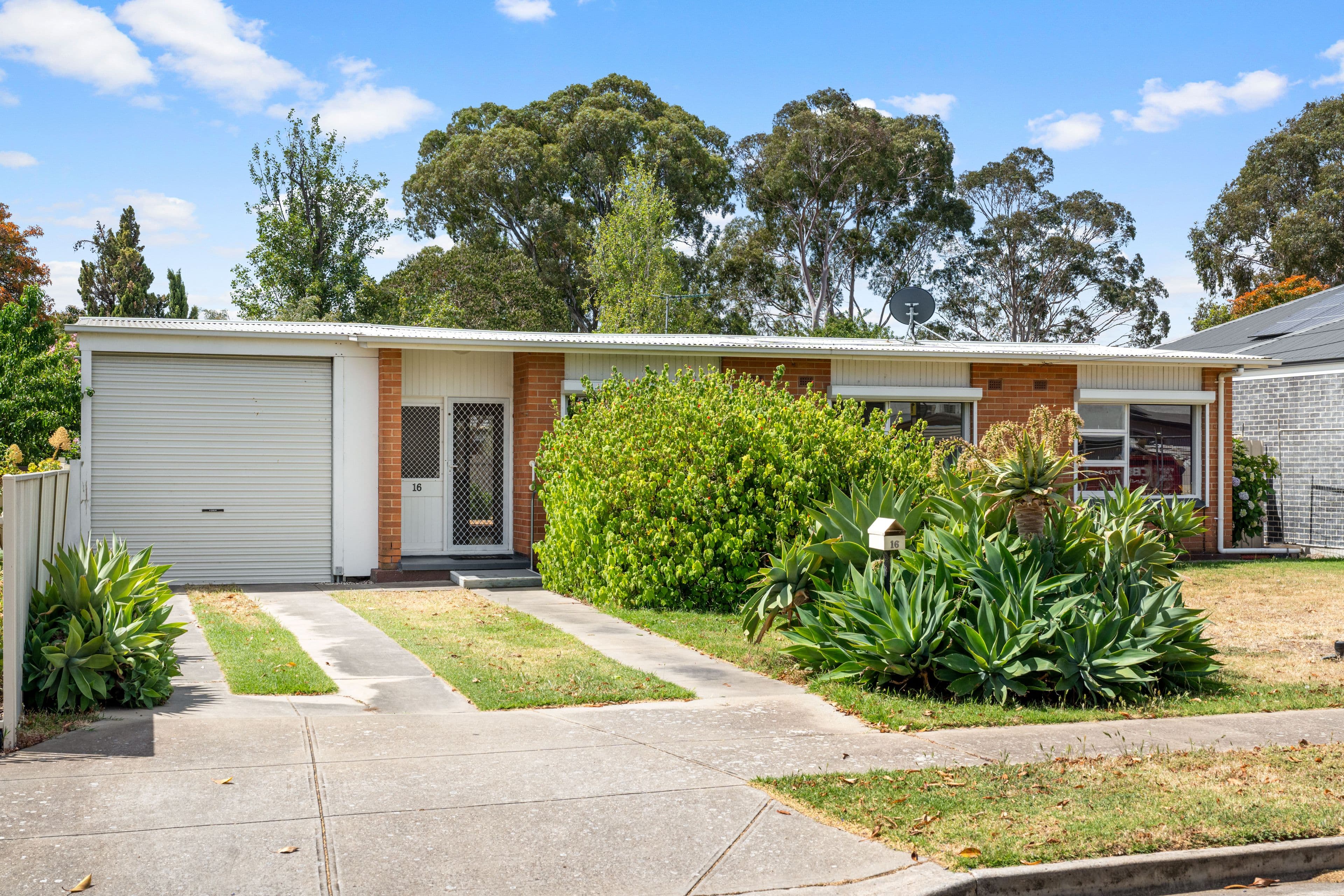 16 Stacey Street, Dudley Park SA 5008, Dudley Park - Image 1