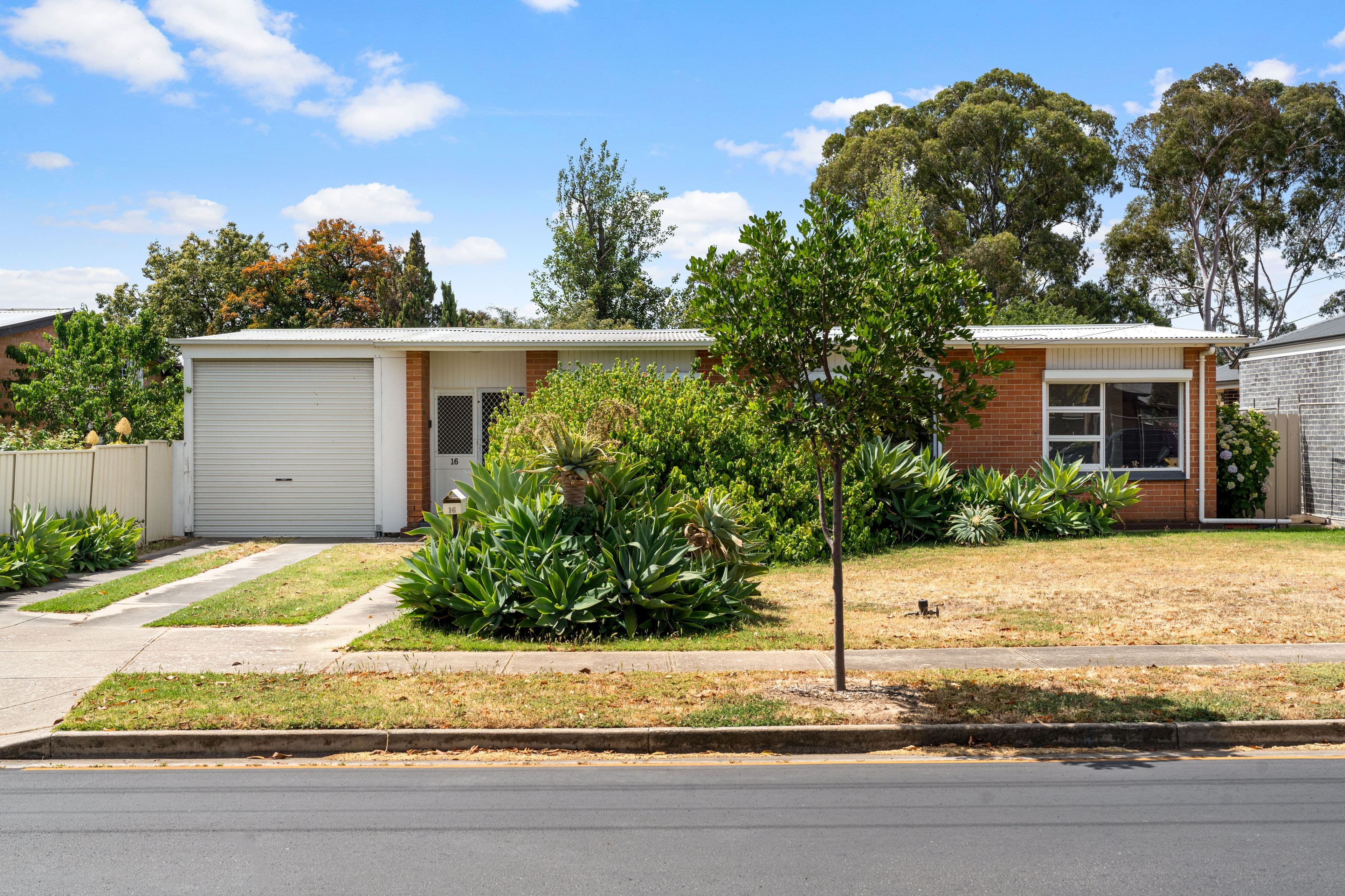 16 Stacey Street, Dudley Park SA 5008, Dudley Park - Thumbnail 3