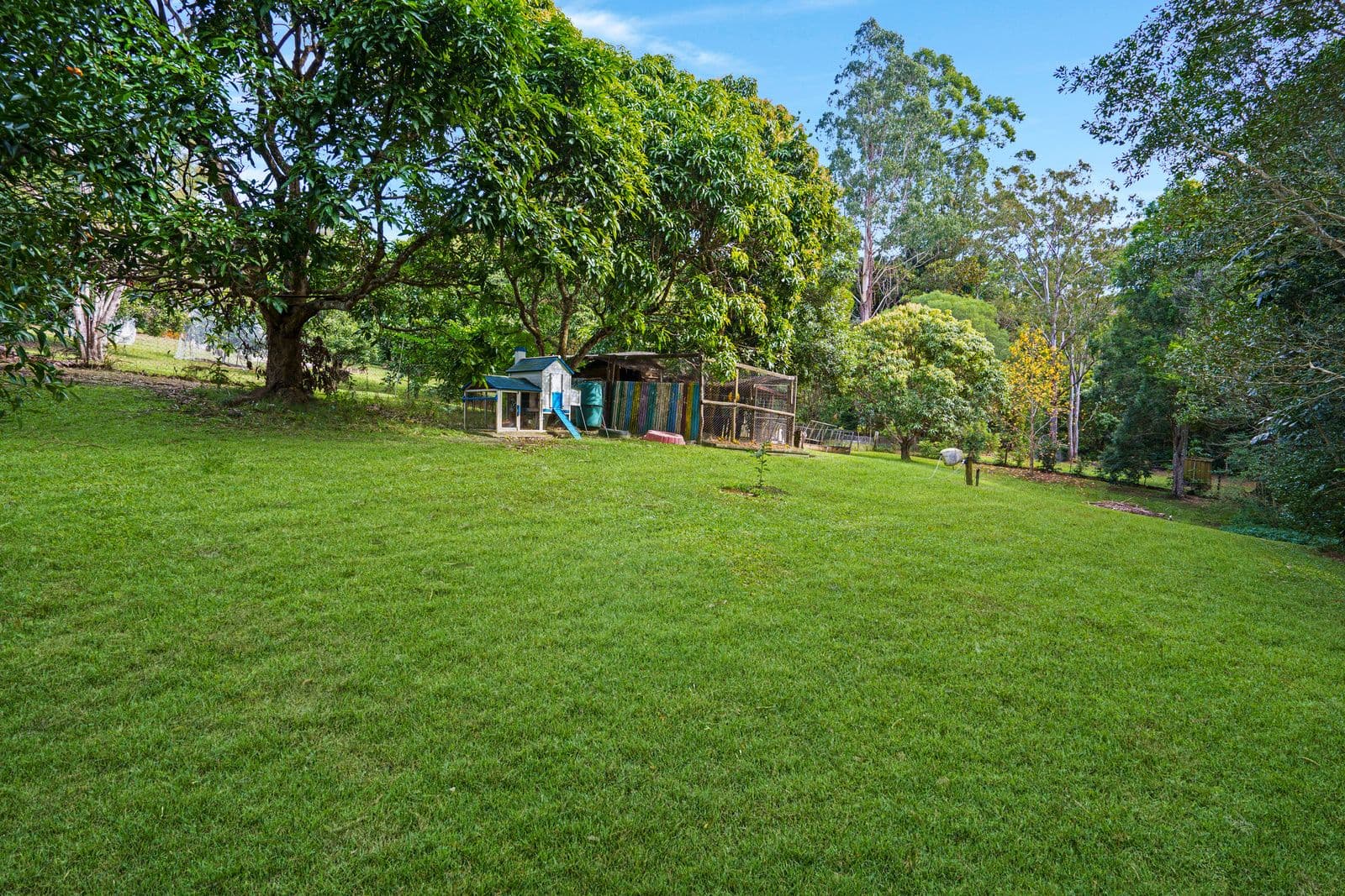 4 Coorabin Court, Tallebudgera QLD 4228, Tallebudgera - Thumbnail 5