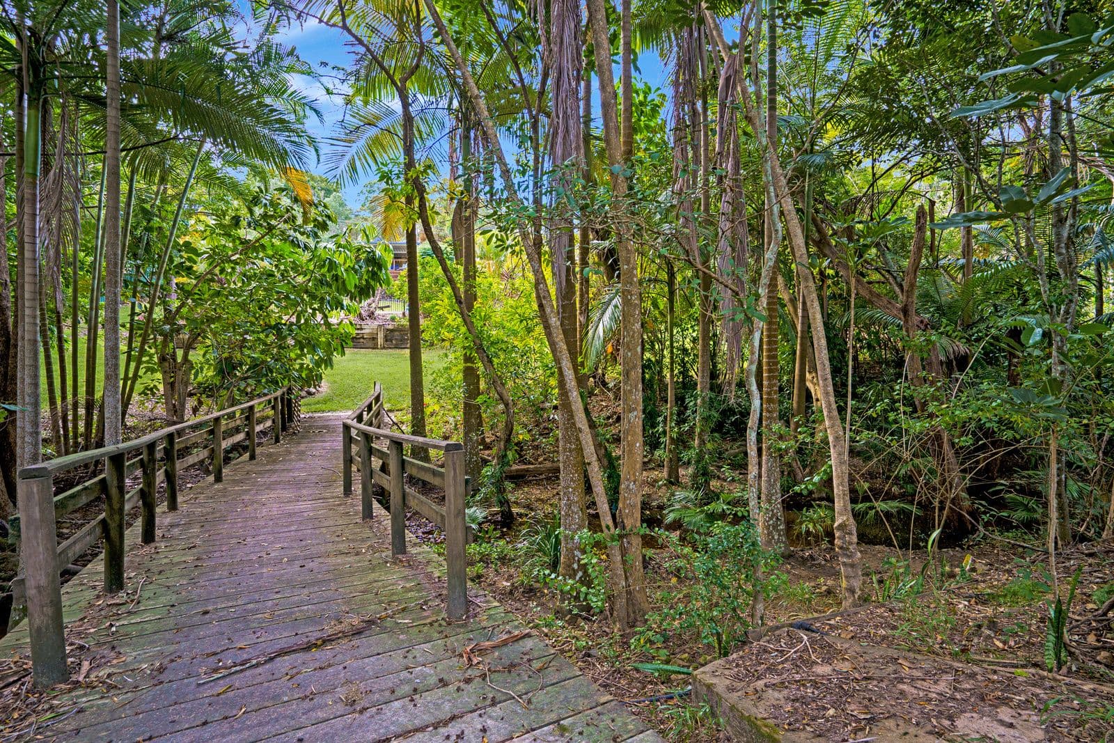4 Coorabin Court, Tallebudgera QLD 4228, Tallebudgera - Thumbnail 6
