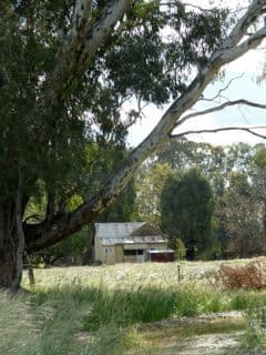 70  River Street, COROWA NSW 2646, Corowa - Thumbnail 2