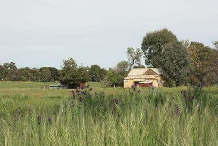 70  River Street, COROWA NSW 2646, Corowa - Thumbnail 5