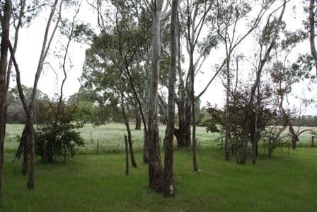 70  River Street, COROWA NSW 2646, Corowa - Thumbnail 8