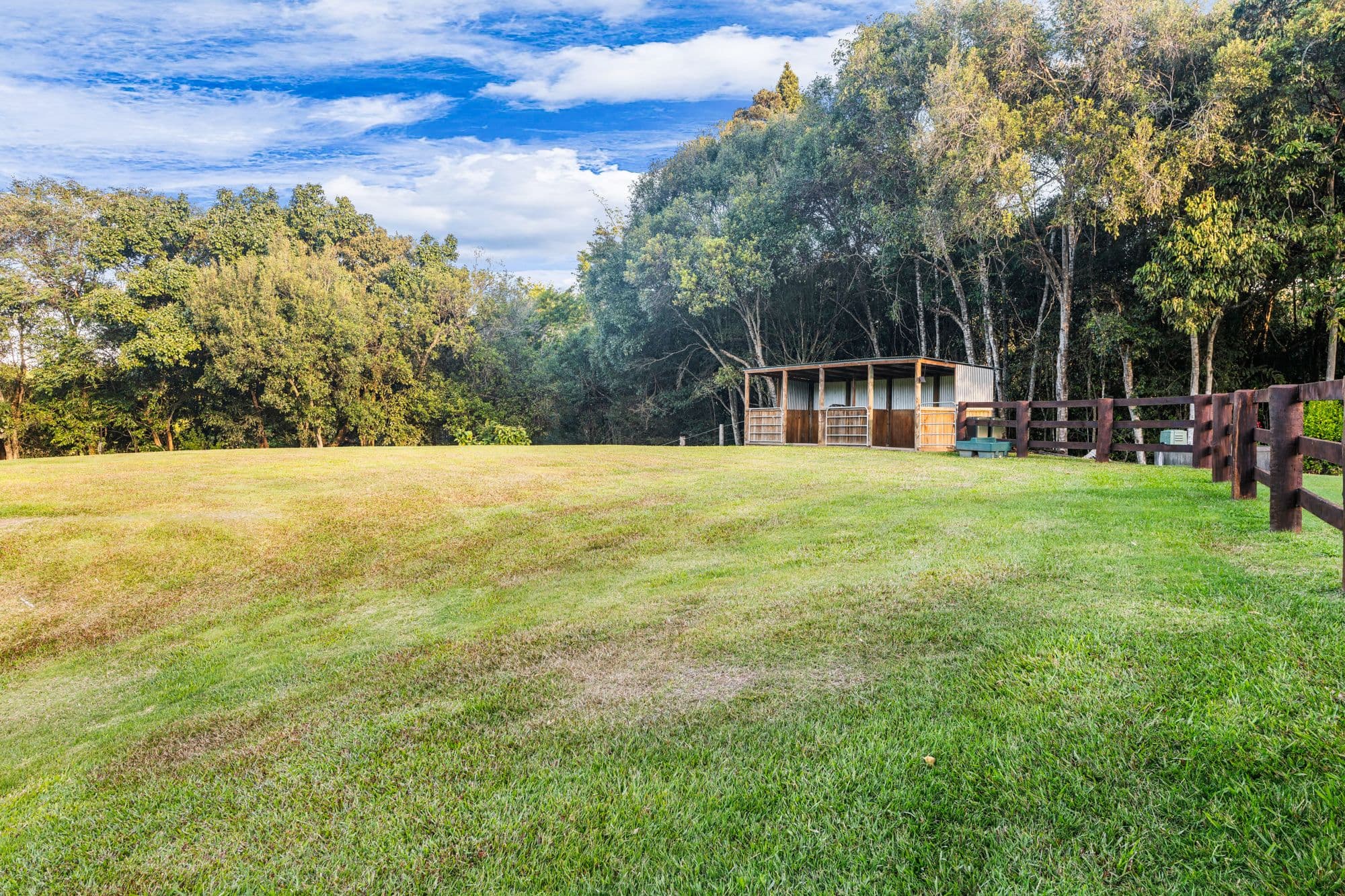 41 Rainforest Place, Diamond Valley QLD 4553, Diamond Valley - Thumbnail 7