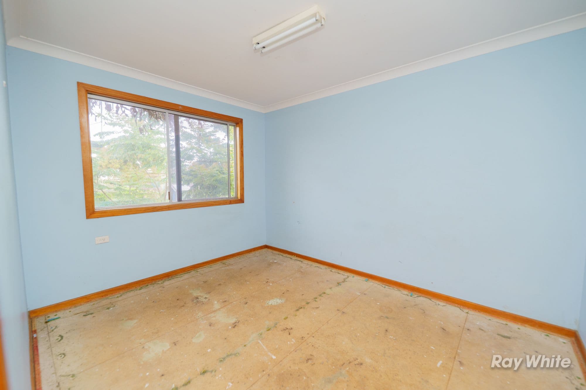 87 Powell Street, Grafton NSW 2460, Grafton - Thumbnail 8
