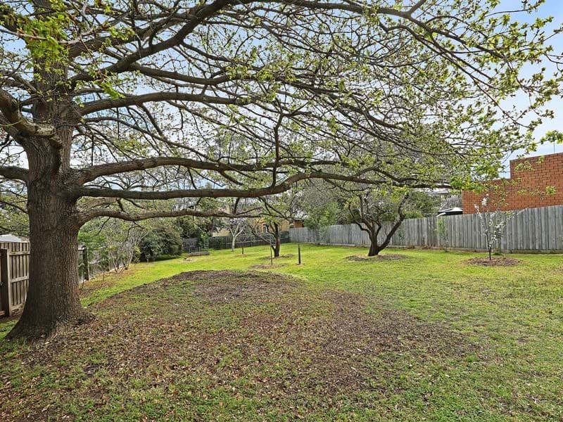 28 Iona Avenue, BELMONT VIC 3216, Belmont - Thumbnail 2