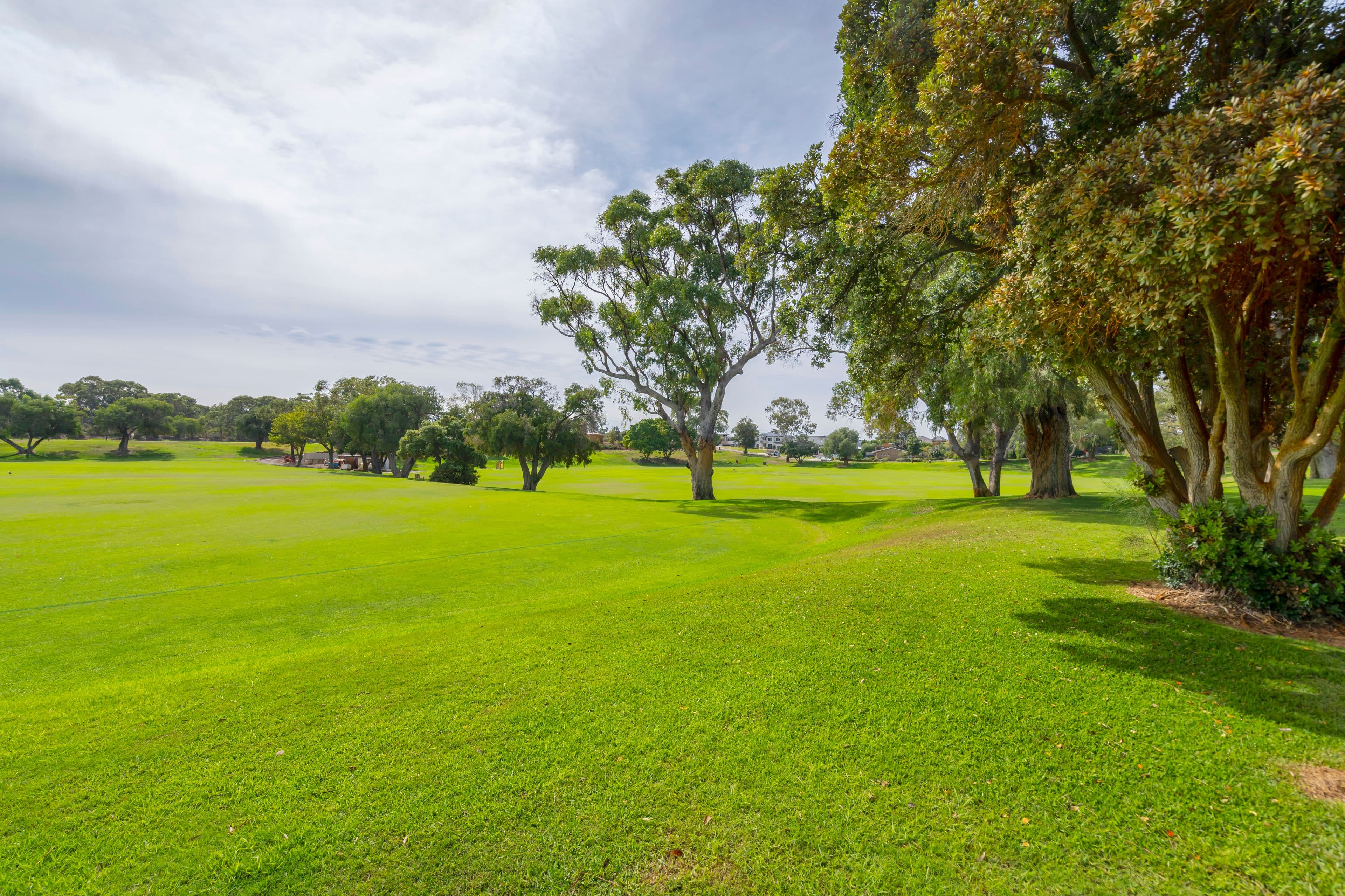 54 Mayfair Street, Mount Claremont WA 6010, Mount Claremont - Image 1