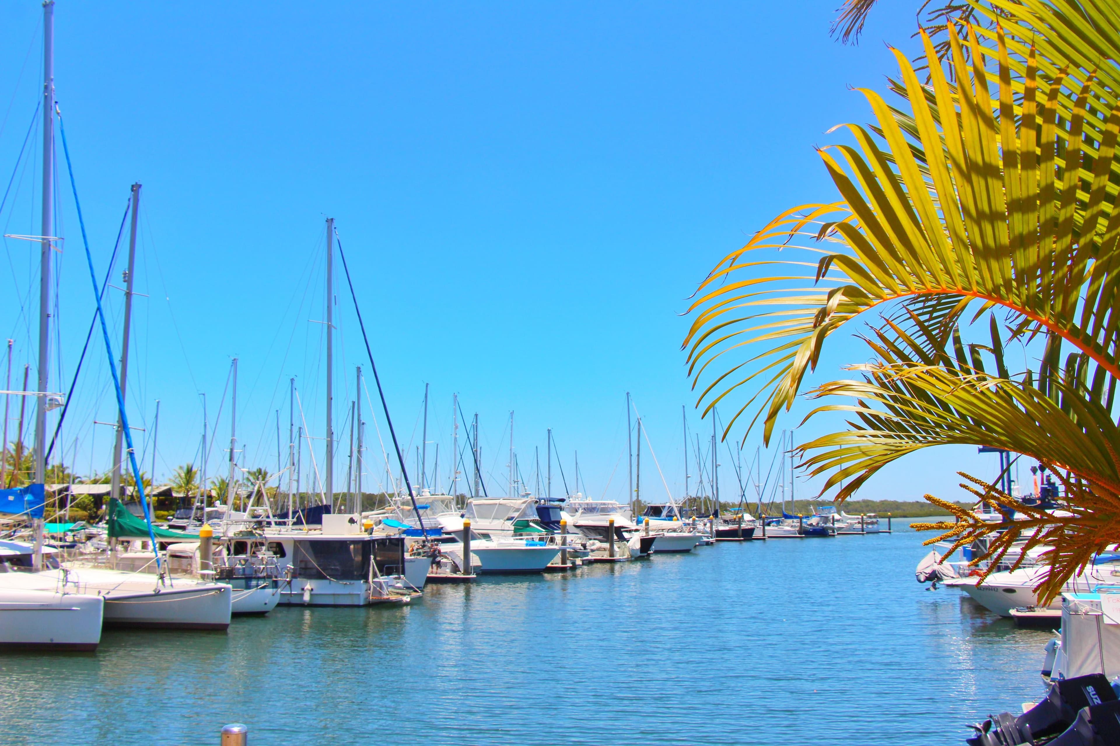 110 Investigator Avenue, Cooloola Cove QLD 4580, Cooloola Cove - Thumbnail 4