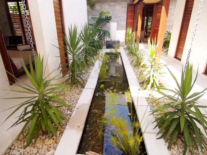 23 Bale Drive, PORT DOUGLAS QLD 4877, Port Douglas - Thumbnail 6