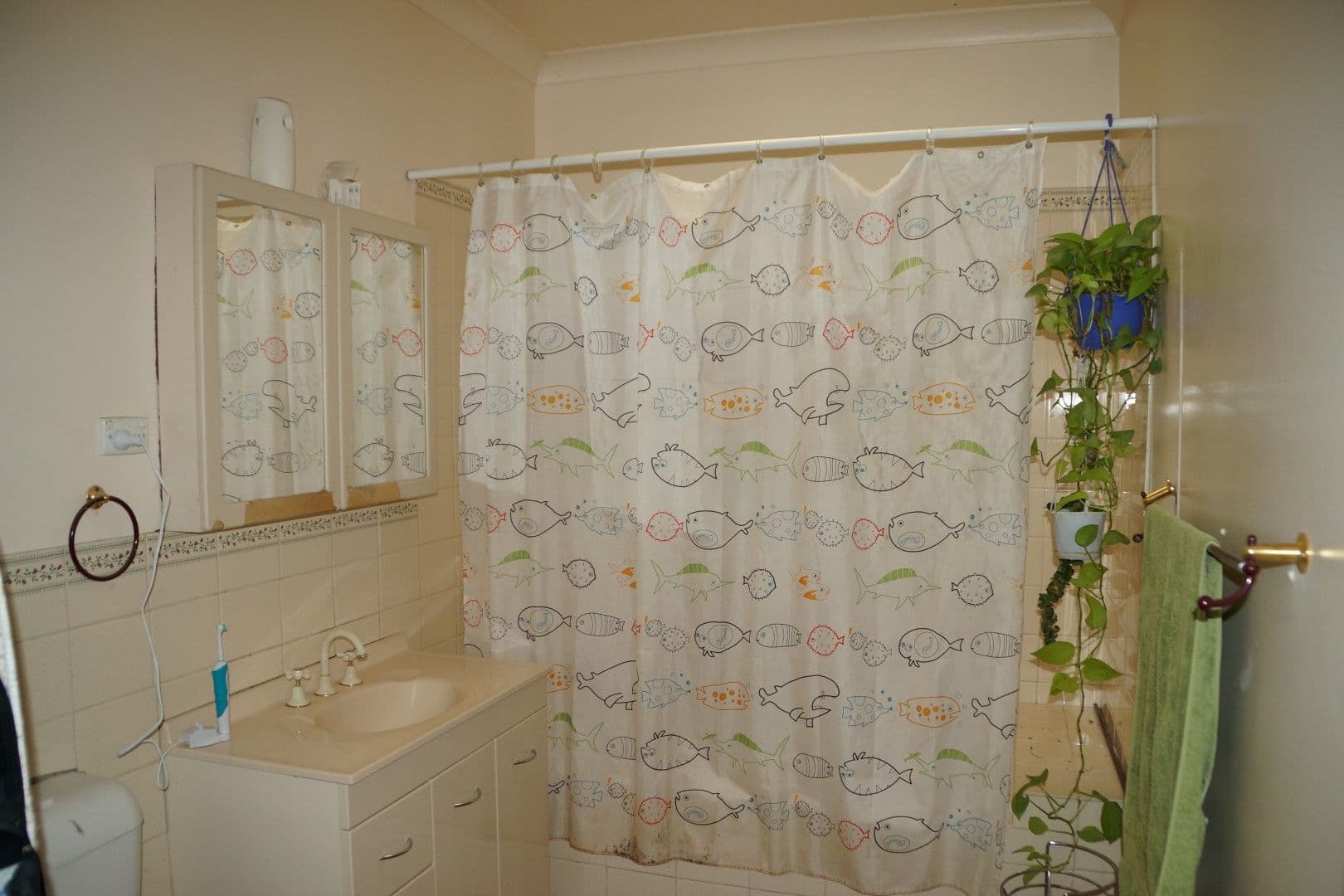 51 Bennett Street, Dubbo - Thumbnail 3