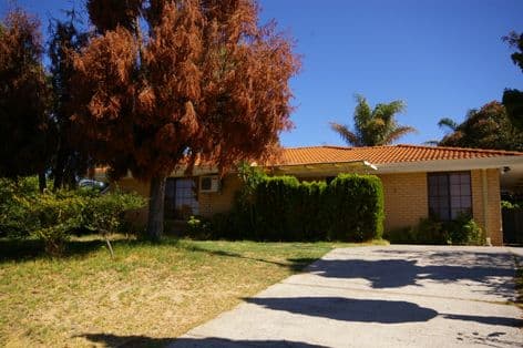 9 Magna Cove, MIRRABOOKA WA 6061, Mirrabooka - Image 1