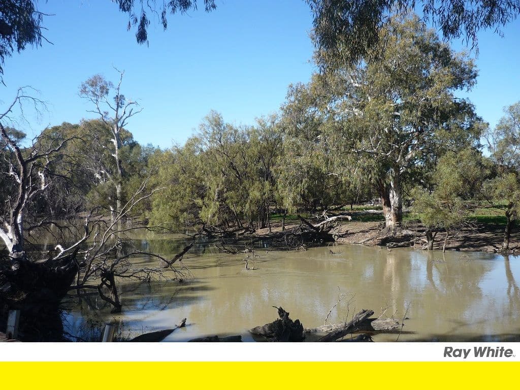 Lot 5 Echidna Way, CONARGO NSW 2710, Conargo - Image 1
