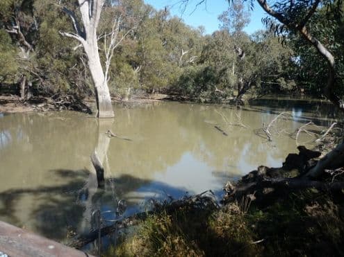 Lot 5 Echidna Way, CONARGO NSW 2710, Conargo - Thumbnail 2