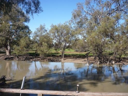 Lot 5 Echidna Way, CONARGO NSW 2710, Conargo - Thumbnail 3