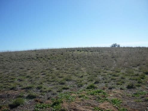 Lot 5 Echidna Way, CONARGO NSW 2710, Conargo - Thumbnail 7