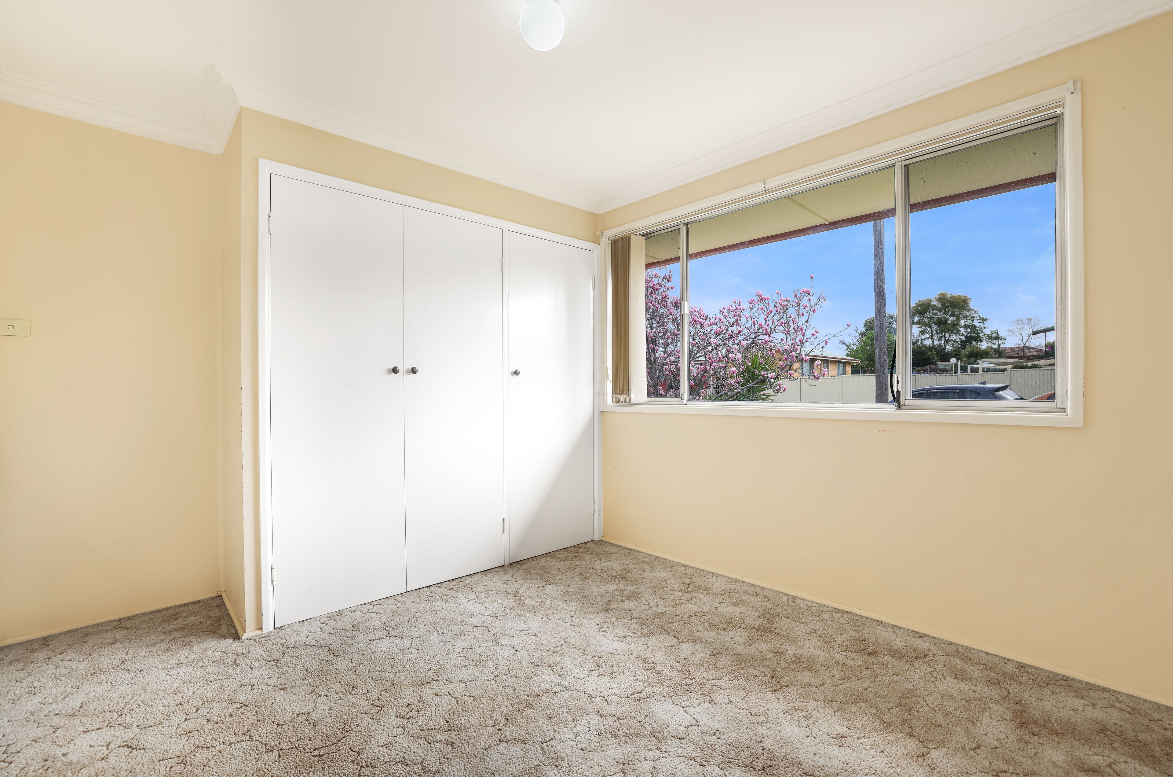 33 Minnamurra Crescent, Tamworth NSW 2340, Hillvue - Thumbnail 6