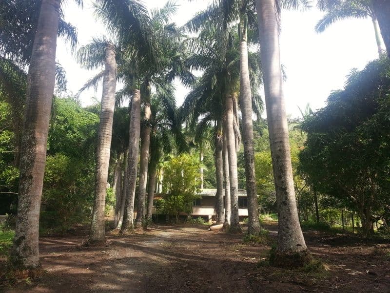 163 Camm Road, MOUNT JULIAN QLD 4800, Mount Julian - Thumbnail 2