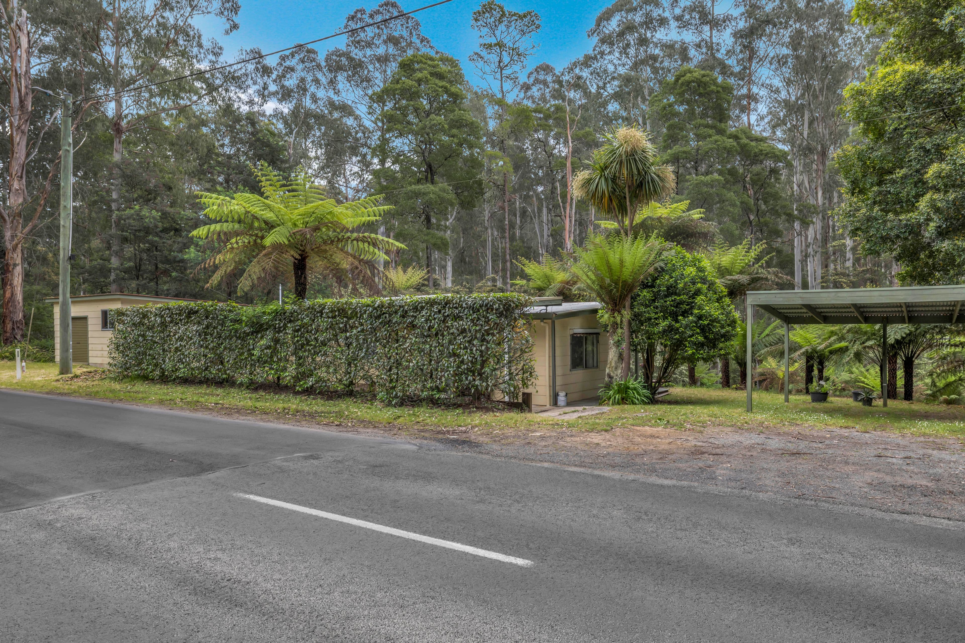 289 Mt Baw Baw Tourist Road, Noojee VIC 3833, Noojee - Image 1