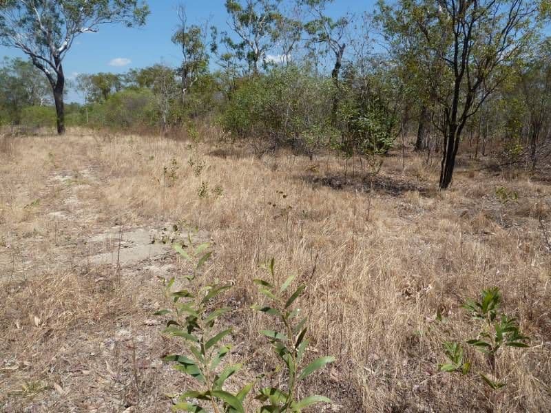 38 Rutherven Road, KATHERINE NT 0850, Katherine - Thumbnail 2