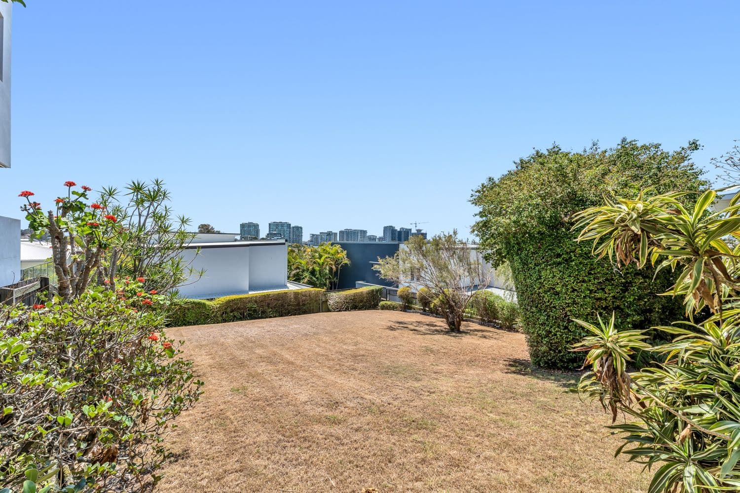 19 Wordsworth Street, Bulimba QLD 4171, Bulimba - Thumbnail 6