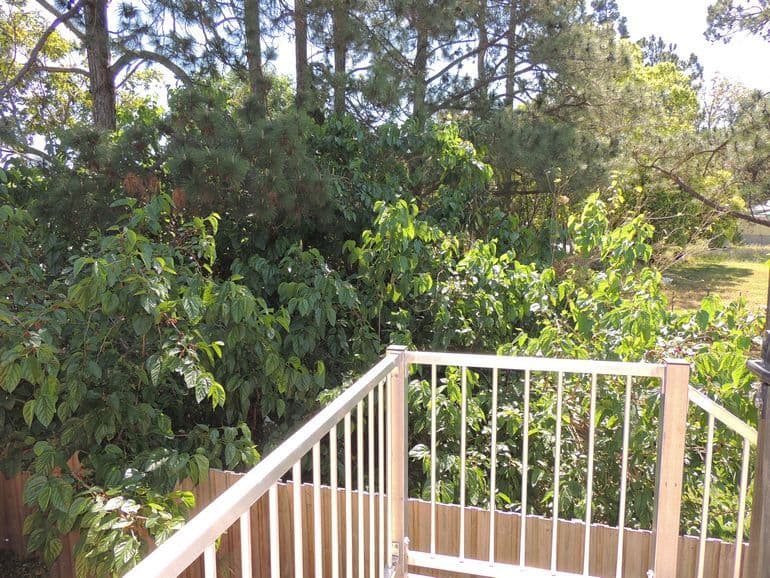 51 Bells Pocket Road, STRATHPINE QLD 4500, Strathpine - Thumbnail 6