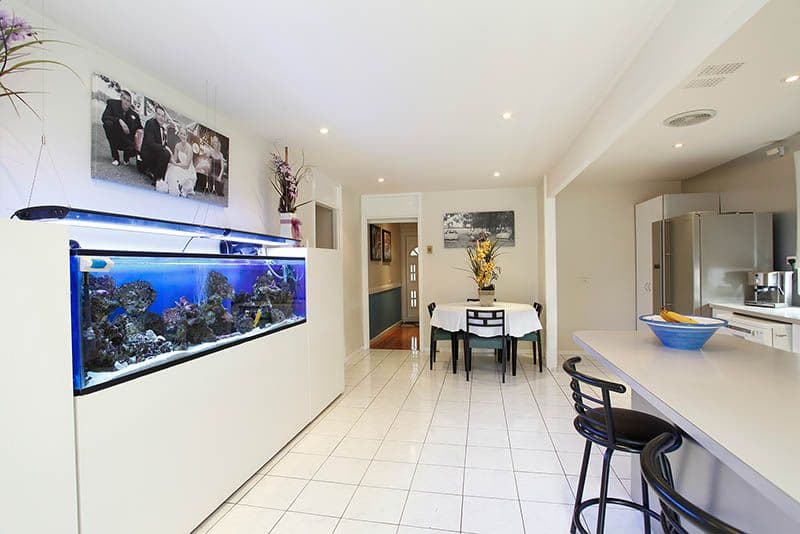 16 Cartwright Street, SOUTH WINDSOR NSW 2756, South Windsor - Thumbnail 3