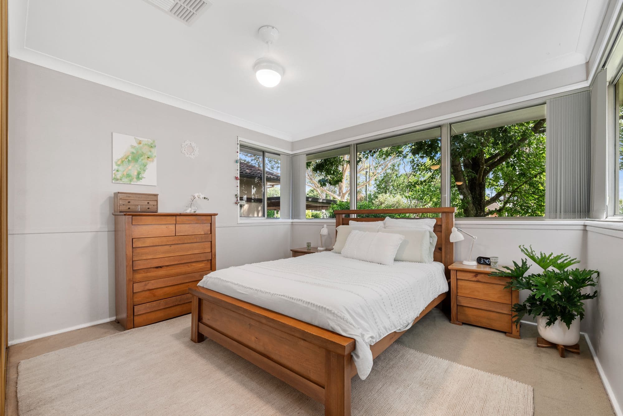 3 Johnson Avenue, Camden South NSW 2570, Camden South - Thumbnail 7