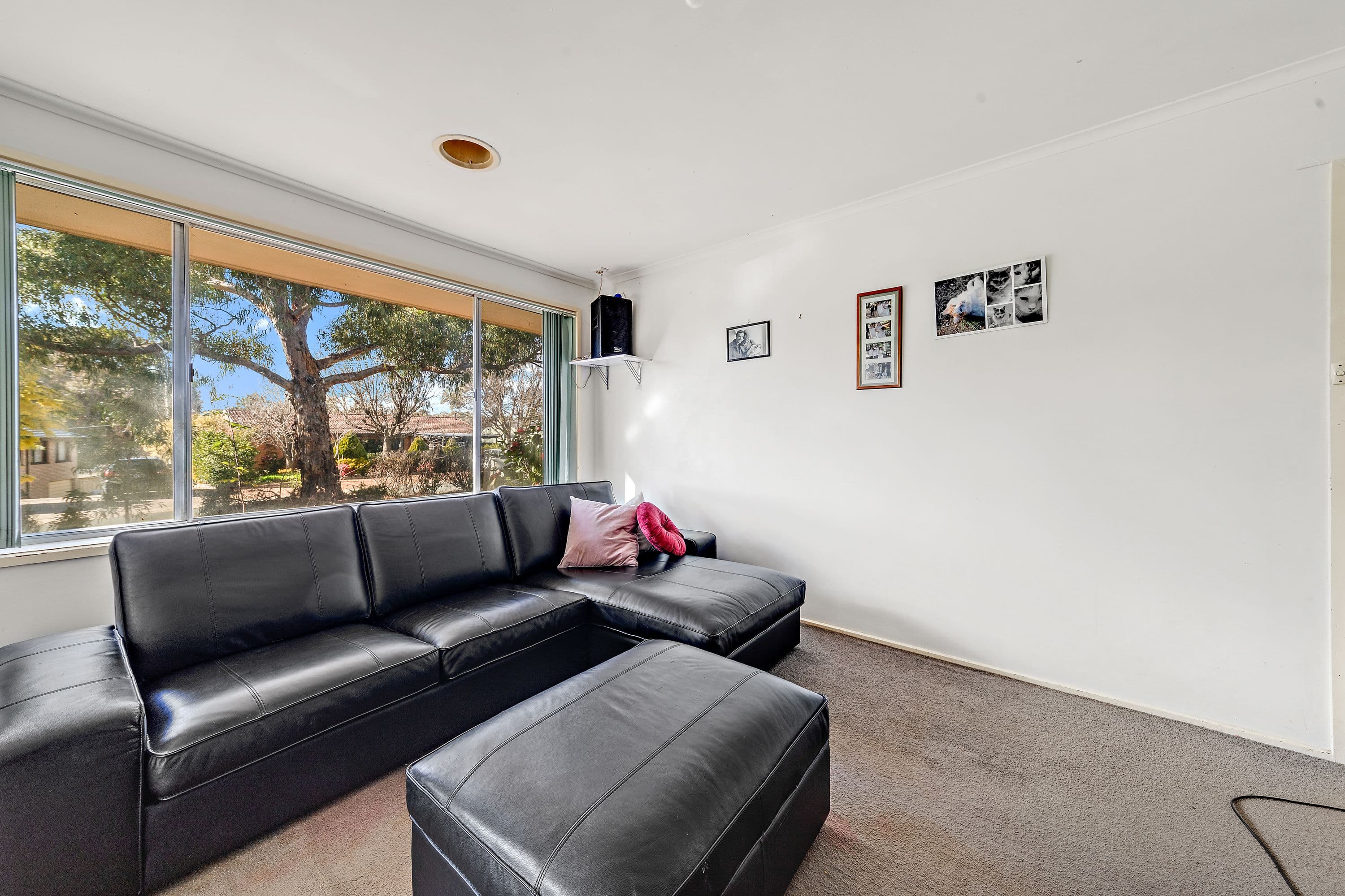 8 Brownless Street, Macgregor ACT 2615, Macgregor - Thumbnail 5