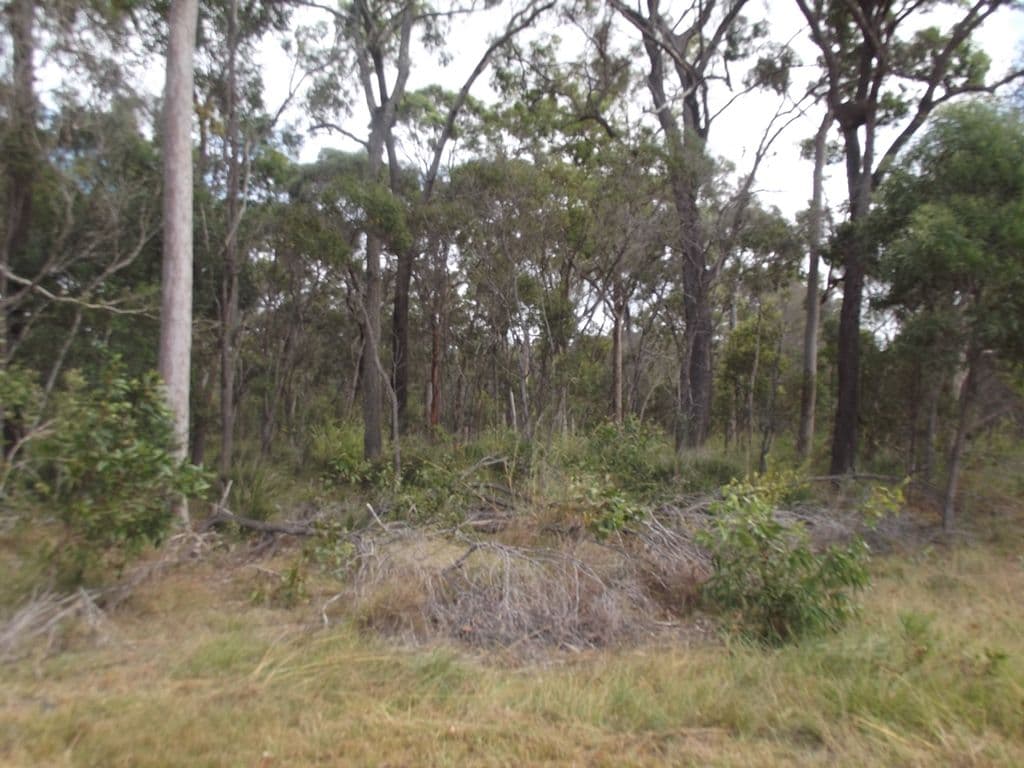 Lot 2 Karinya Circuit, Sunshine Acres QLD 4655, Sunshine Acres - Thumbnail 4