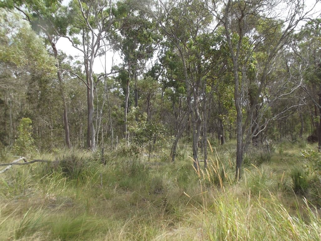 Lot 2 Karinya Circuit, Sunshine Acres QLD 4655, Sunshine Acres - Thumbnail 5