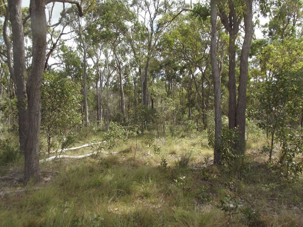Lot 2 Karinya Circuit, Sunshine Acres QLD 4655, Sunshine Acres - Thumbnail 6