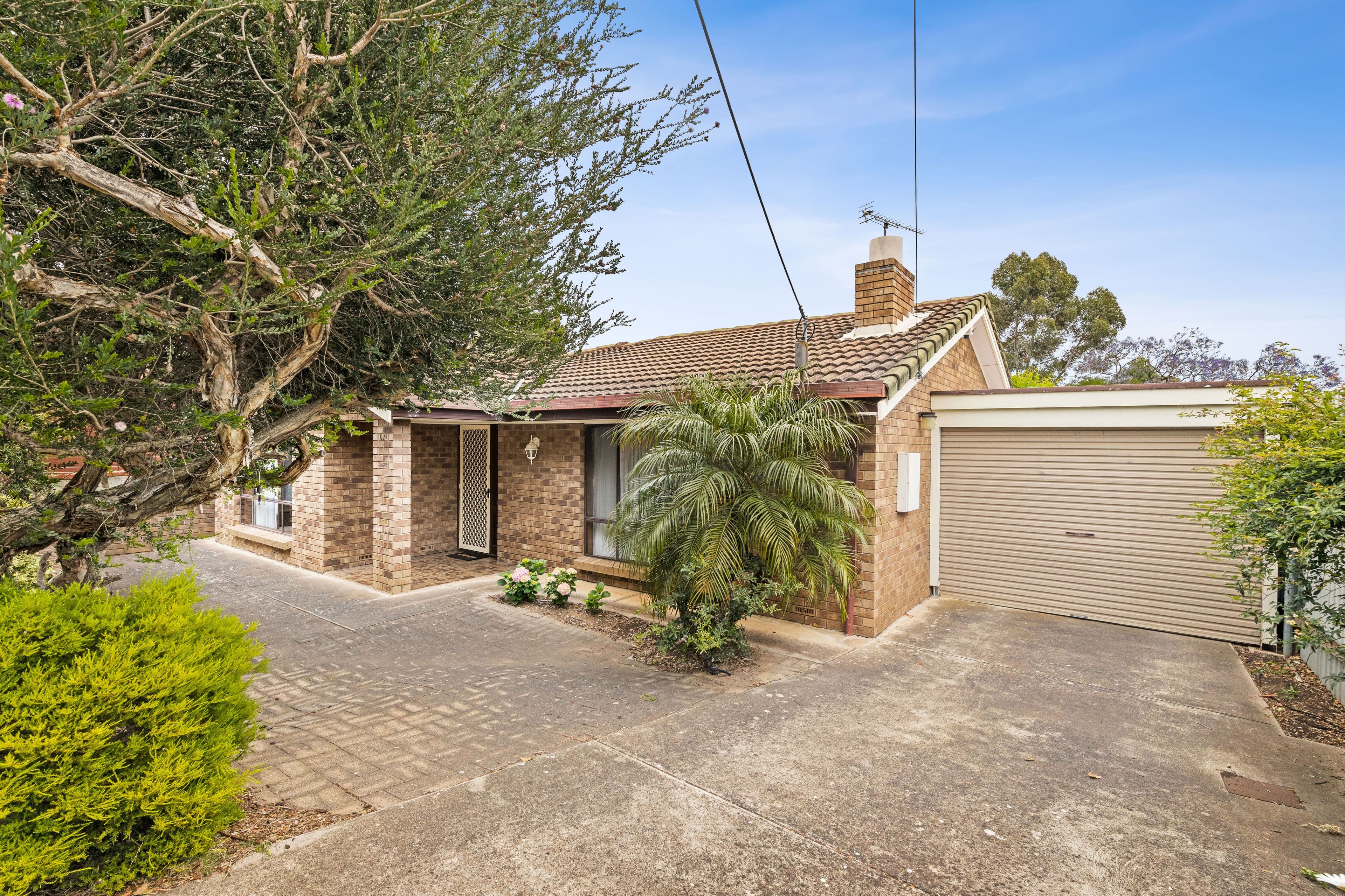 67B Lockwood Road, Burnside SA 5066, Burnside - Image 1