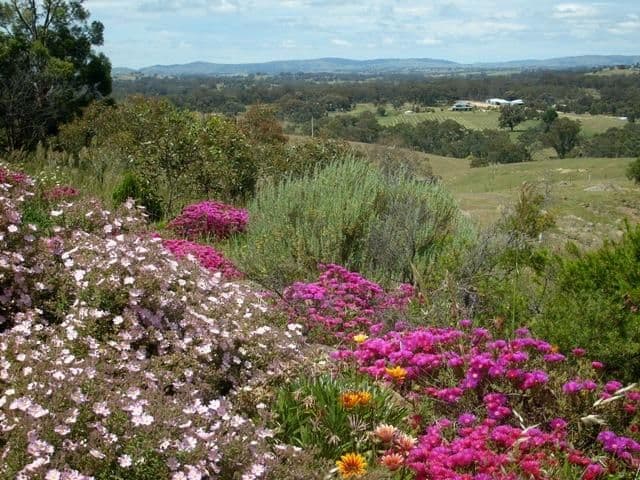 493 Heathcote-Redesdale Road, HEATHCOTE VIC 3523, Heathcote - Thumbnail 2