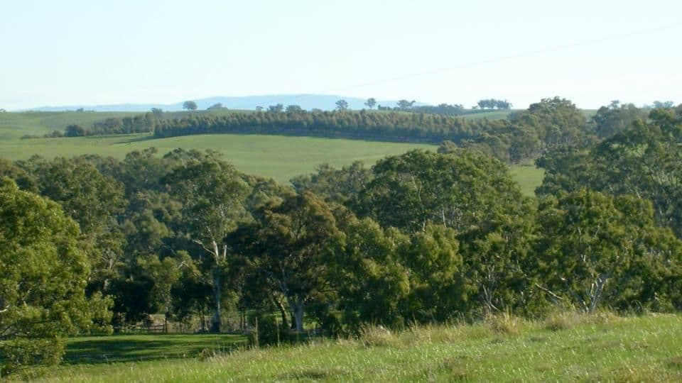 493 Heathcote-Redesdale Road, HEATHCOTE VIC 3523, Heathcote - Thumbnail 3