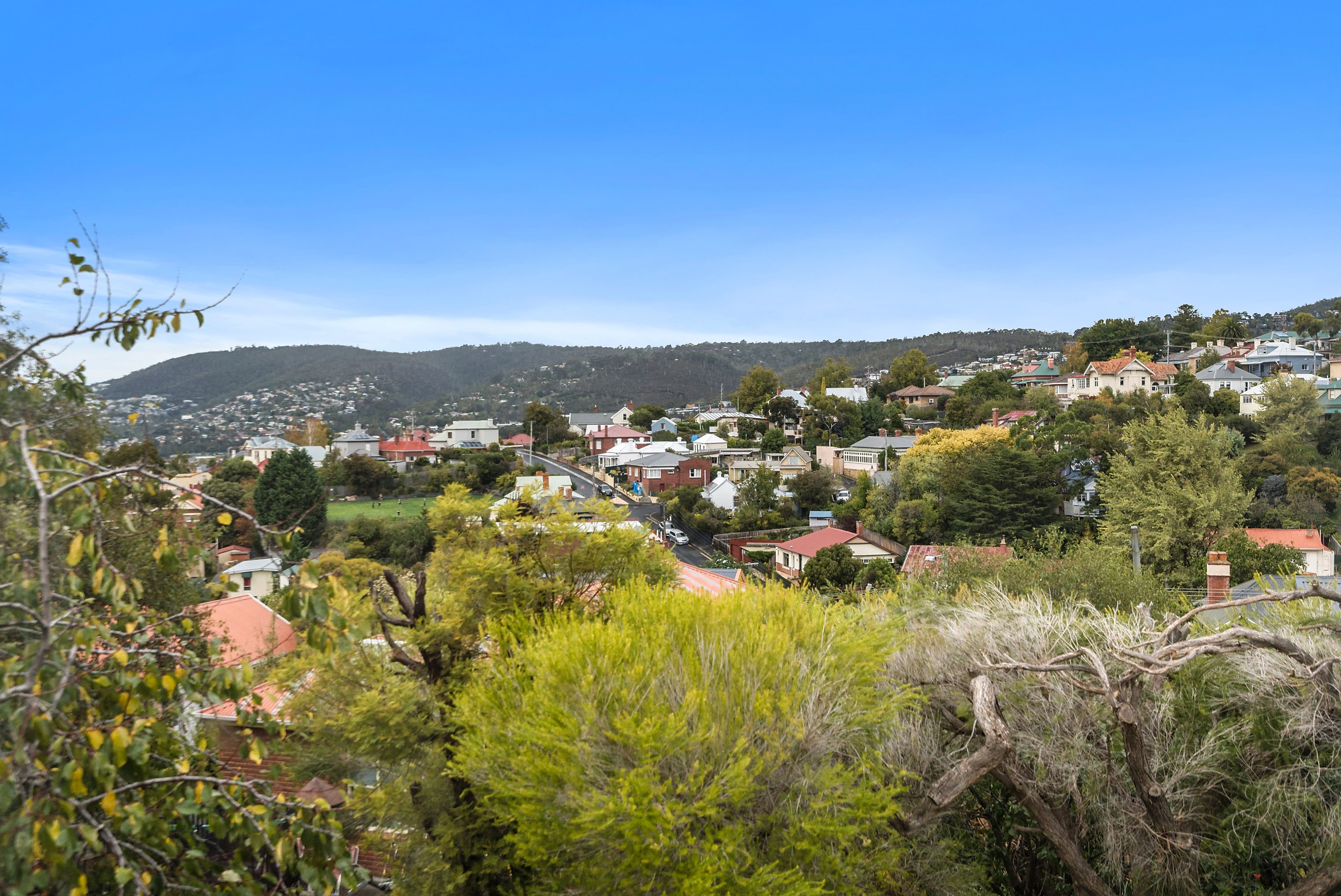14 Cavell Street, West Hobart TAS 7000, West Hobart - Thumbnail 3