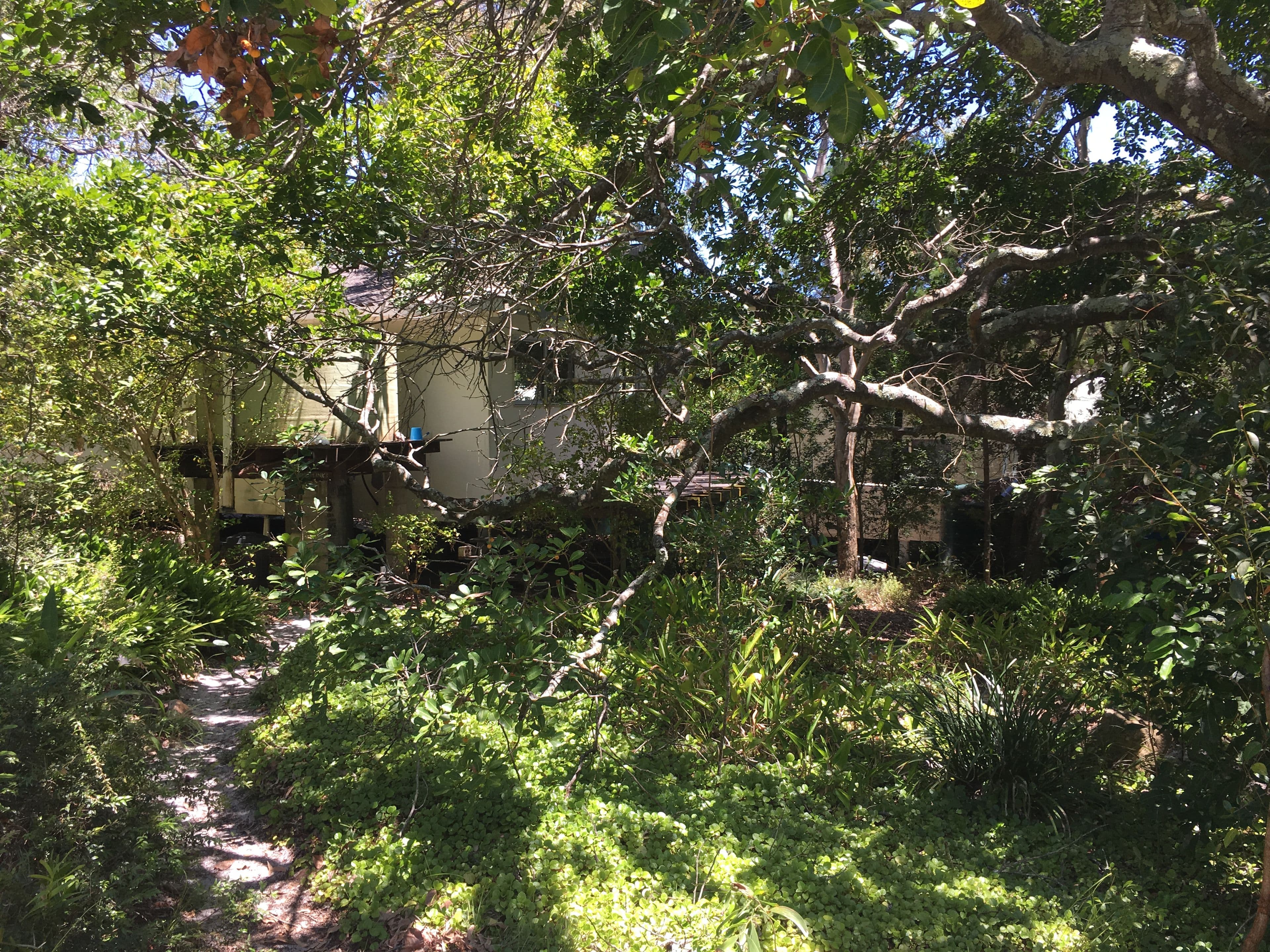 57 Mackerel Street, Noosa North Shore QLD 4565, Noosa North Shore - Thumbnail 5