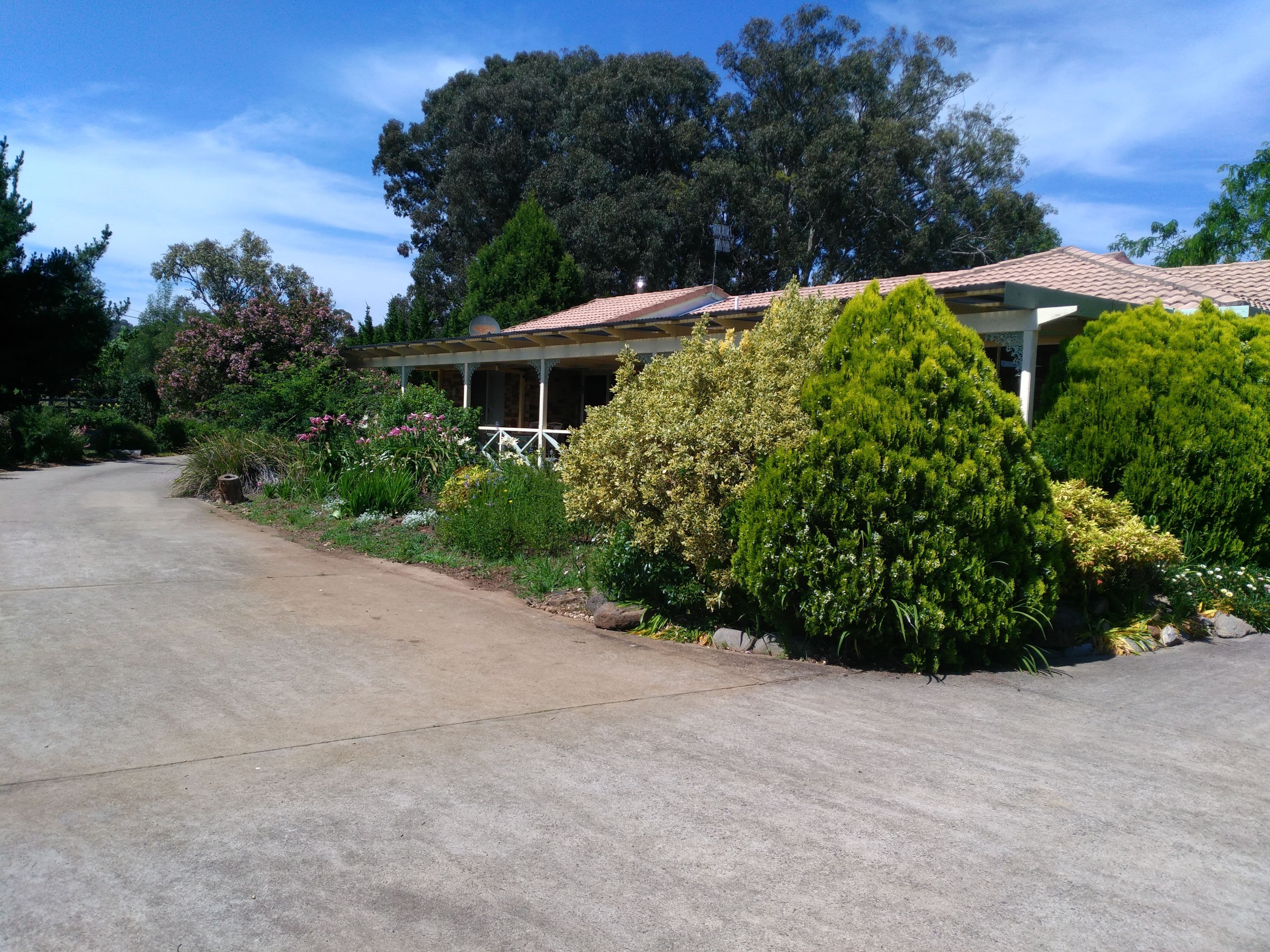 28 Thomas Street, Glen Innes - Image 1