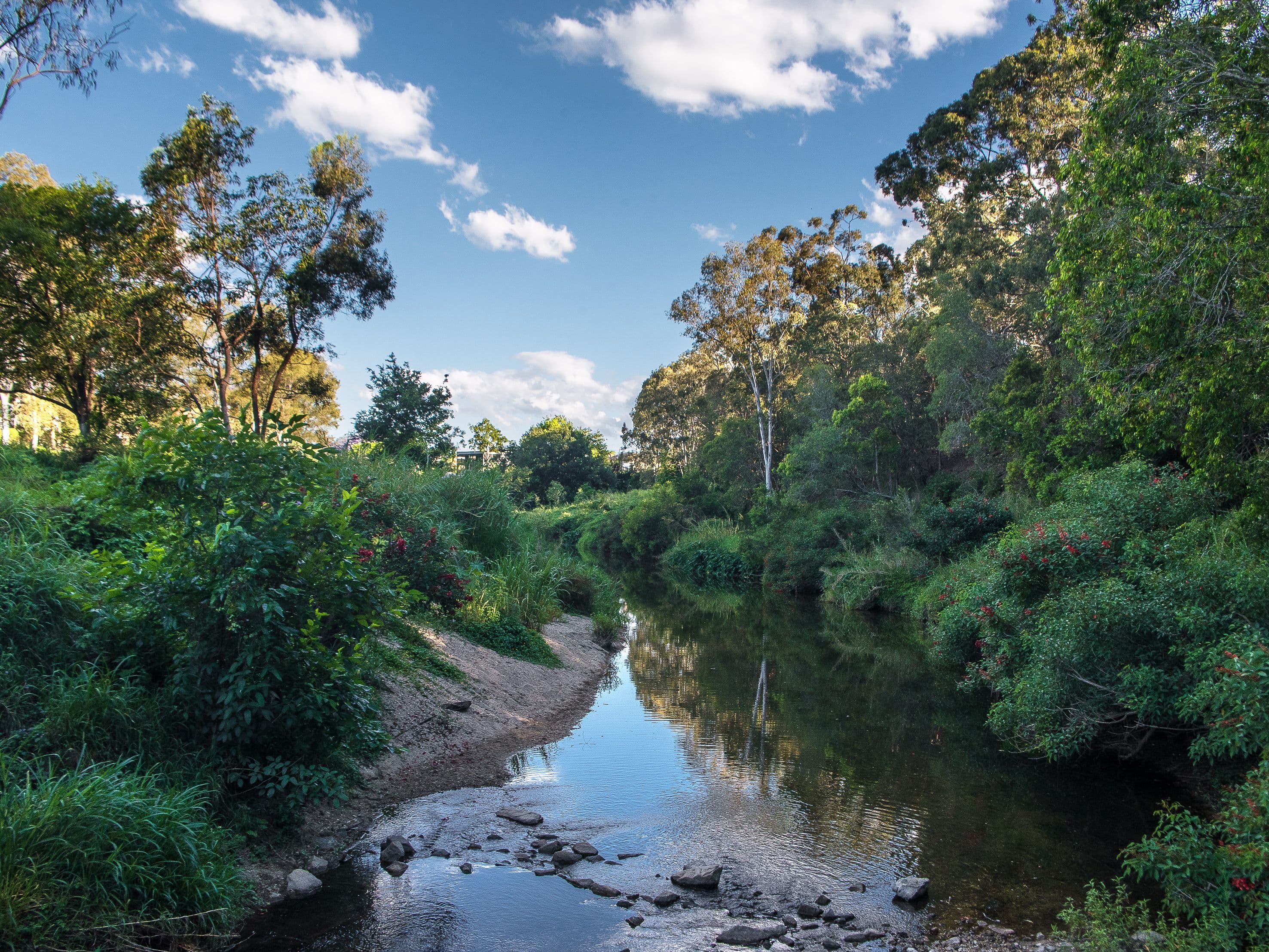 114 Blandford Street, Grange QLD 4051, Grange - Thumbnail 7