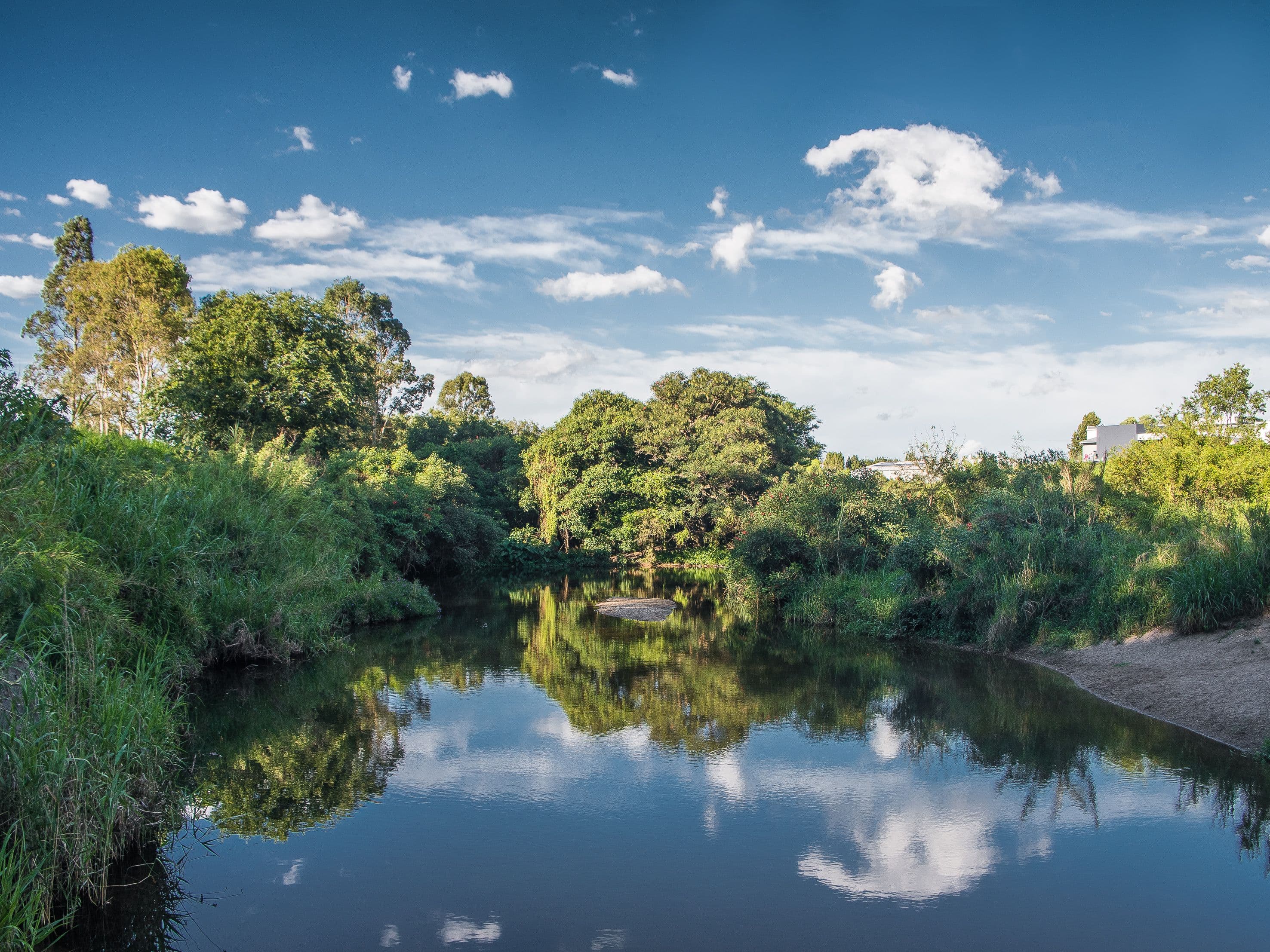 114 Blandford Street, Grange QLD 4051, Grange - Thumbnail 8