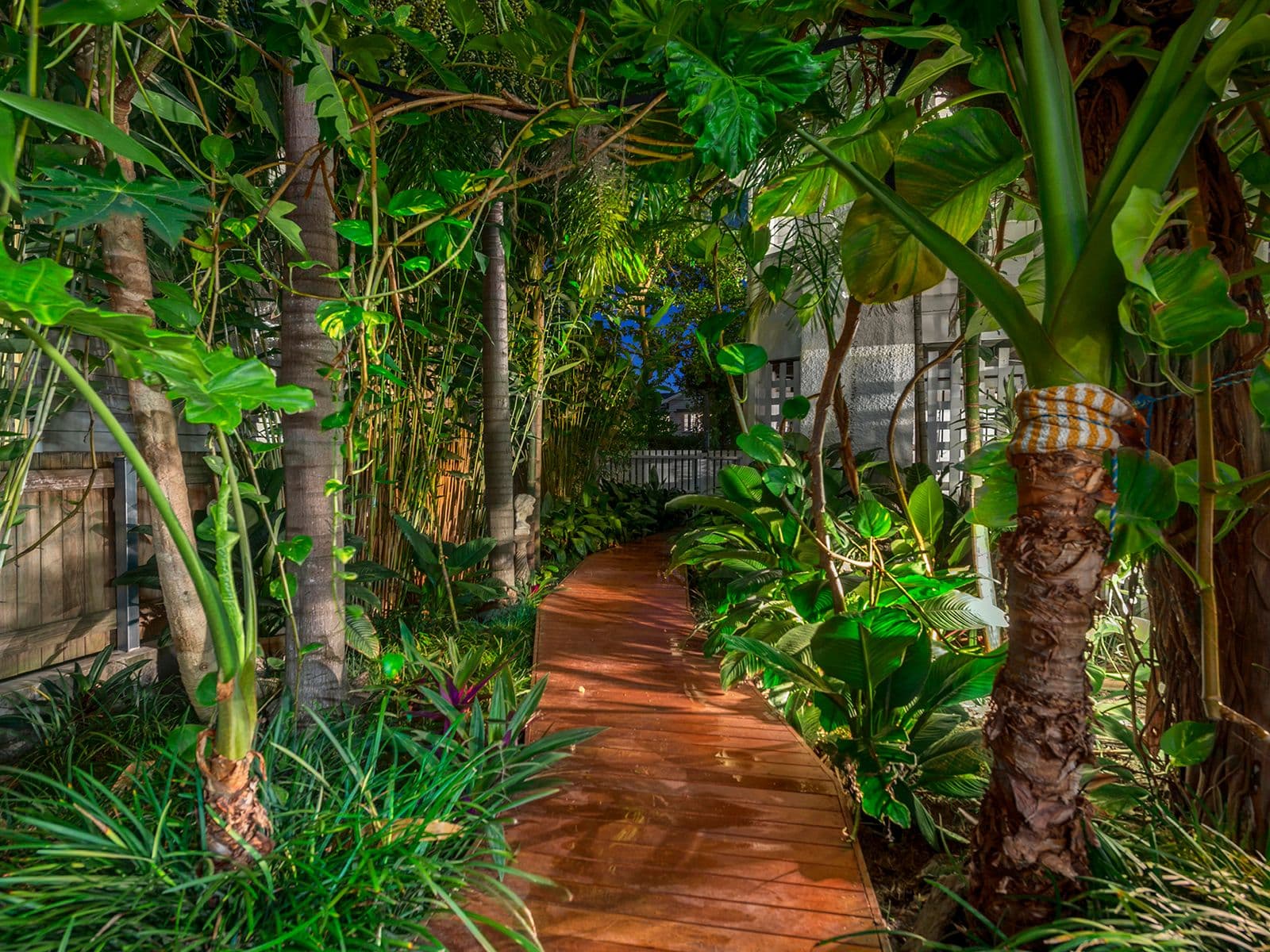 9 Elouera Road, Ashgrove QLD 4060, Ashgrove - Thumbnail 2