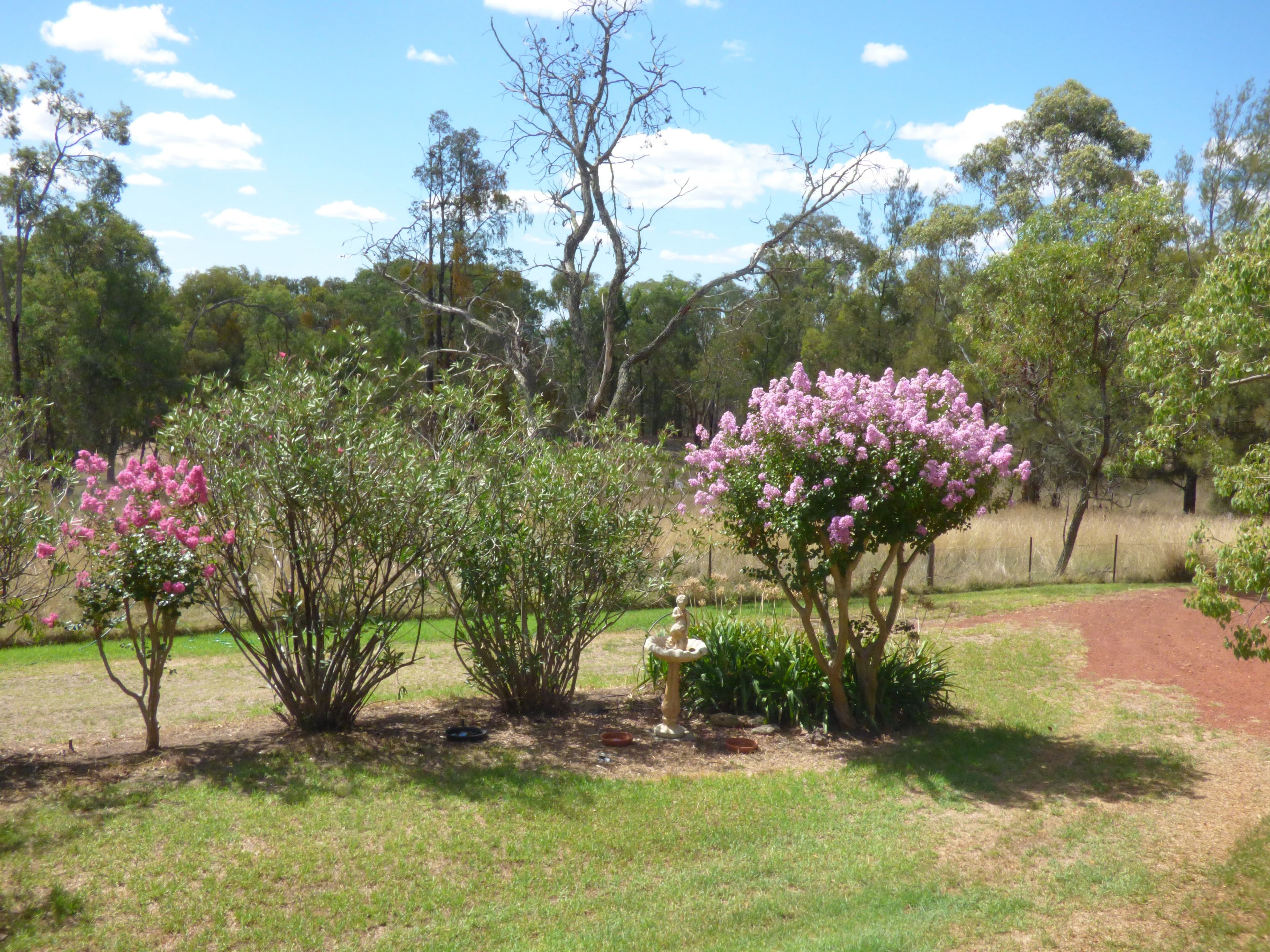720 Old Bundarra Road, Inverell - Thumbnail 4
