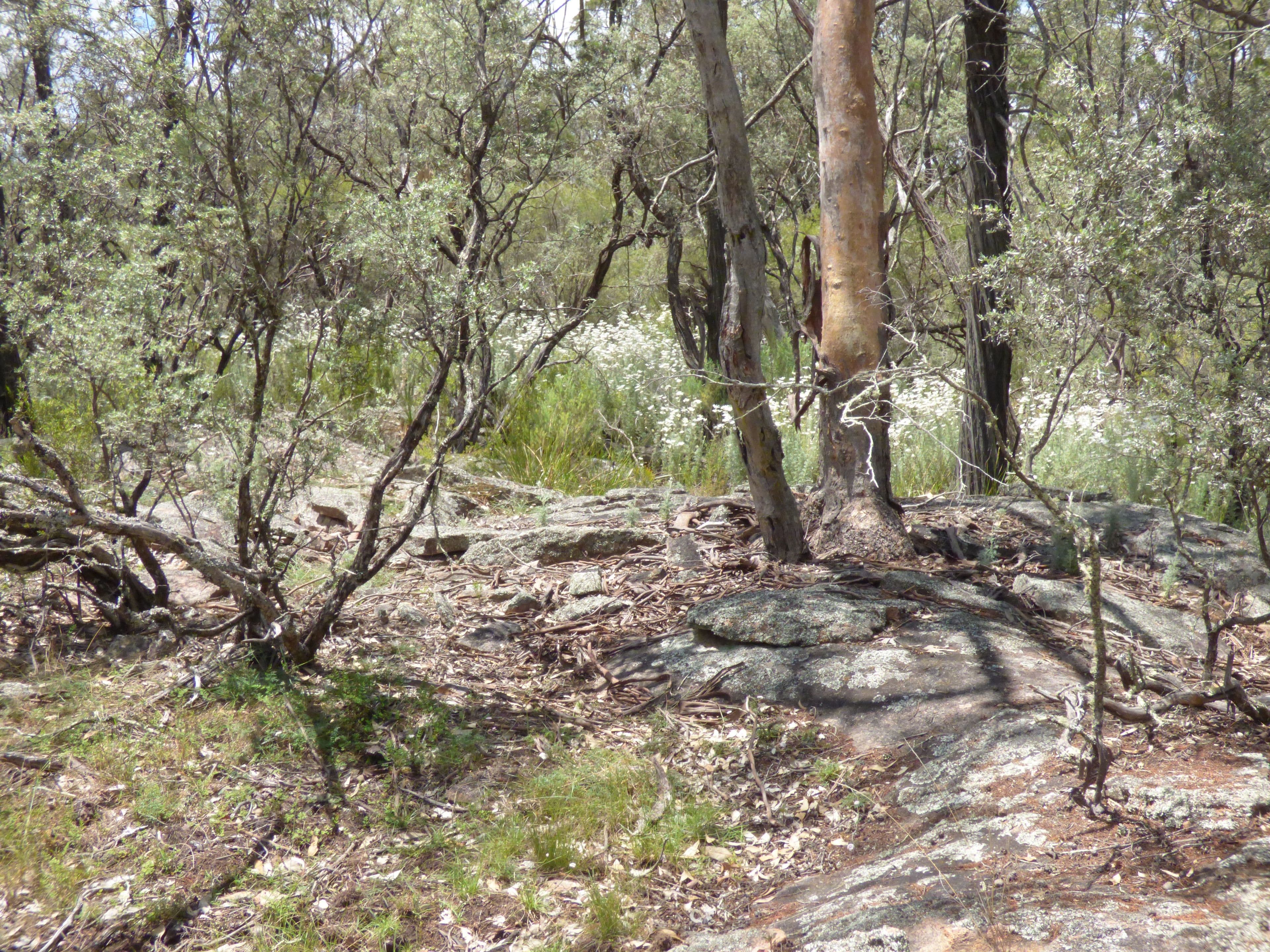 720 Old Bundarra Road, Inverell - Thumbnail 5
