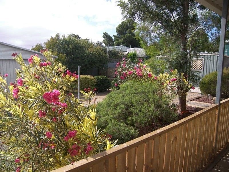 8 Sundale Avenue, PARA HILLS SA 5096, Para Hills - Thumbnail 8