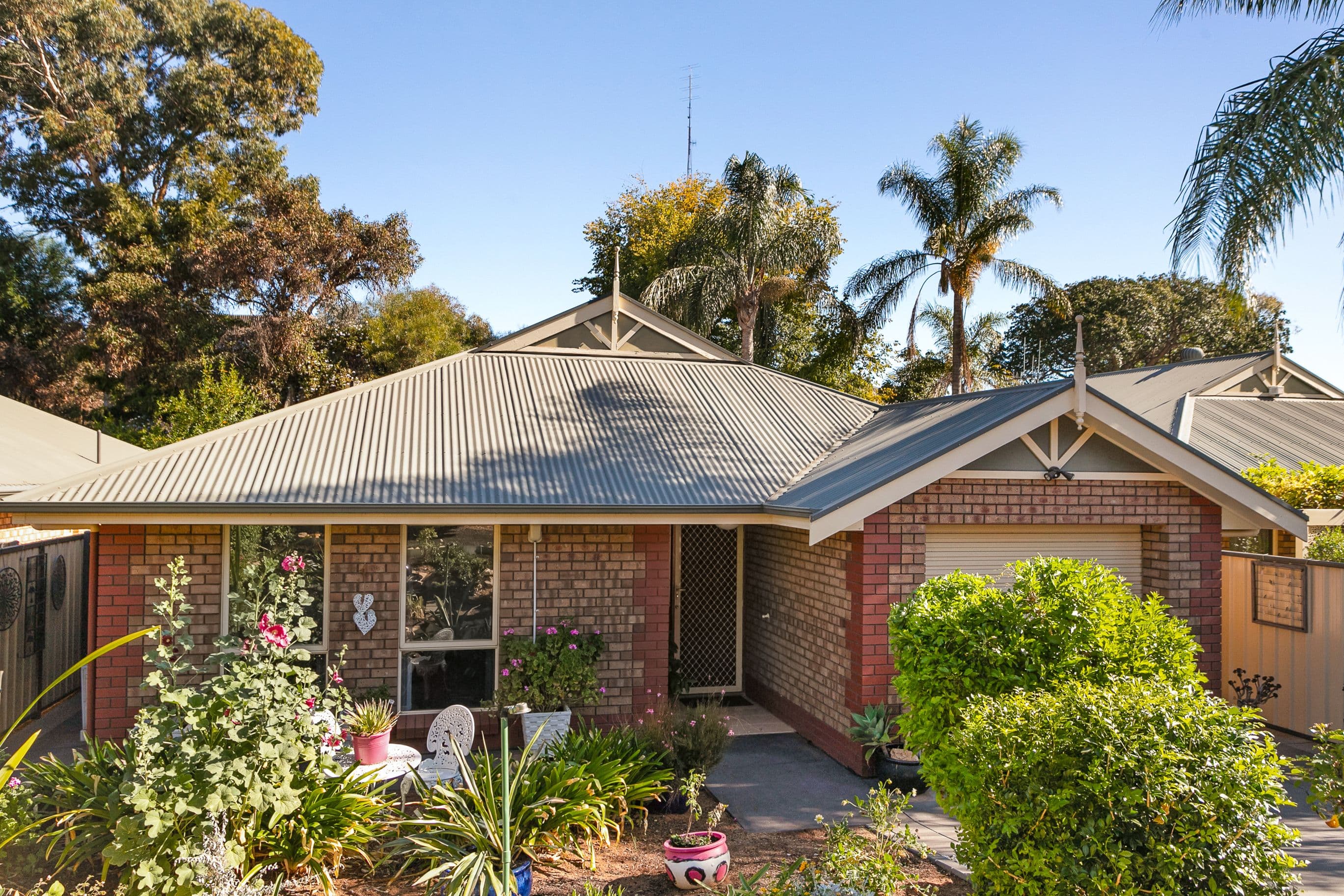 19B William Street, Loxton SA 5333, Loxton - Image 1