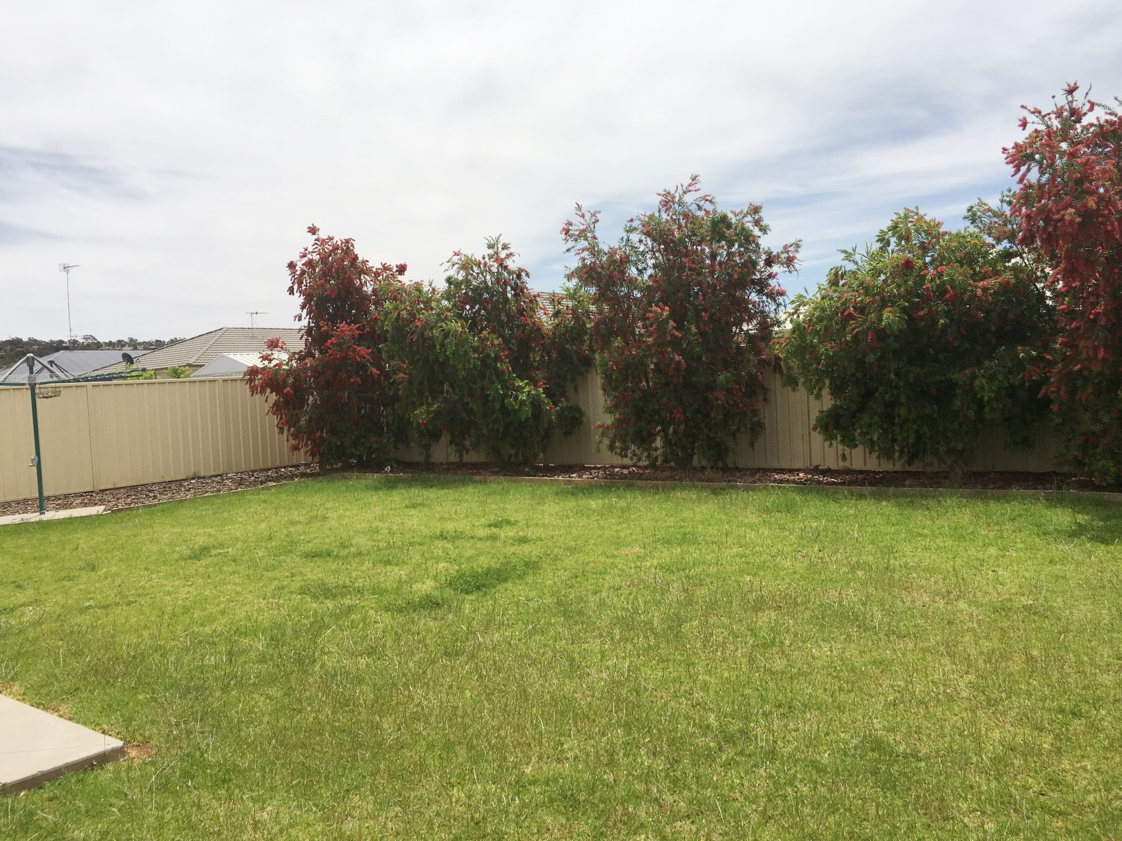10 Verri Street, Griffith - Thumbnail 4