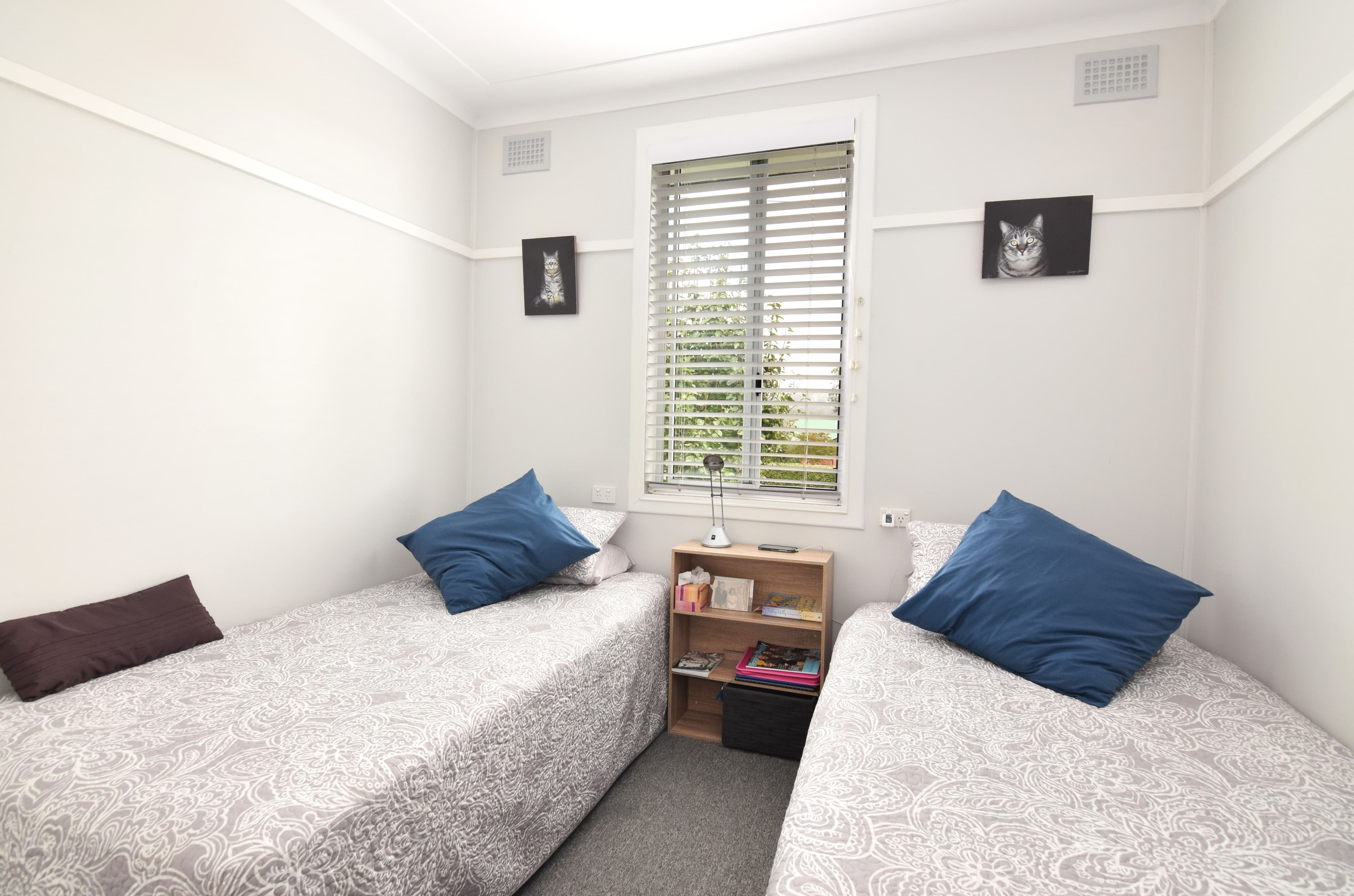 104 Douglas Street, Tenterfield NSW 2372, Tenterfield - Thumbnail 3