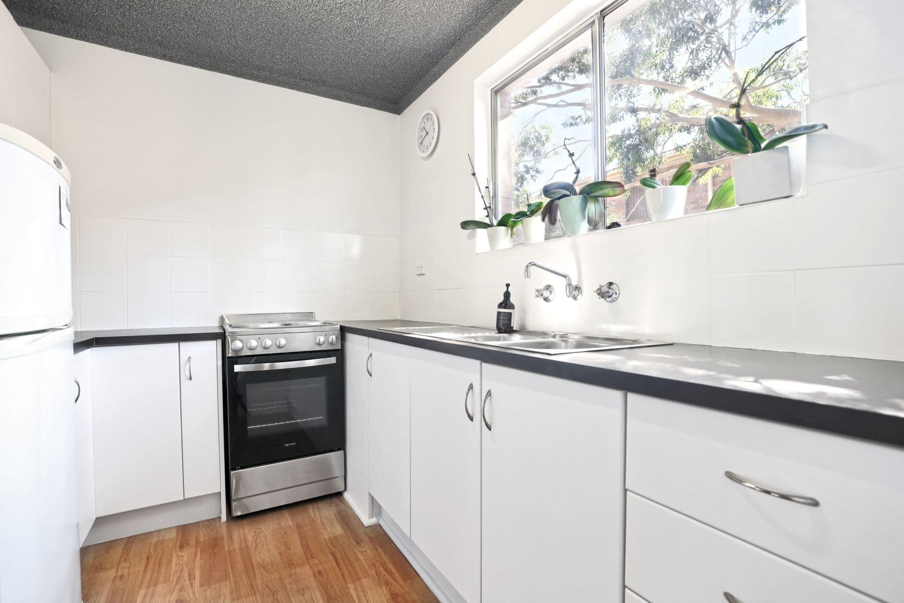 19 Preston Street, Jamisontown NSW 2750, Jamisontown - Thumbnail 6