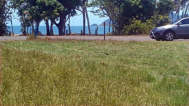 19 Reid Road, MISSION BEACH QLD 4852, Mission Beach - Image 1