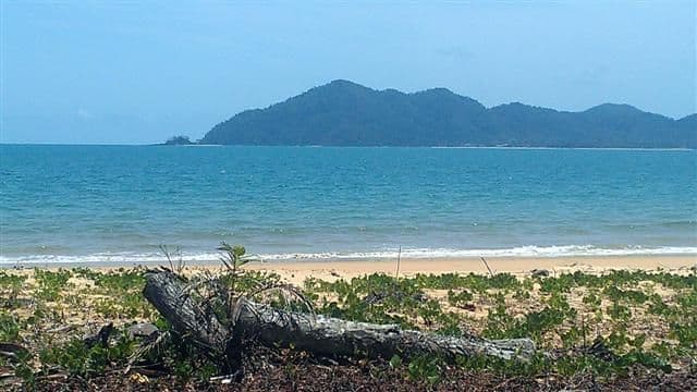 19 Reid Road, MISSION BEACH QLD 4852, Mission Beach - Thumbnail 7
