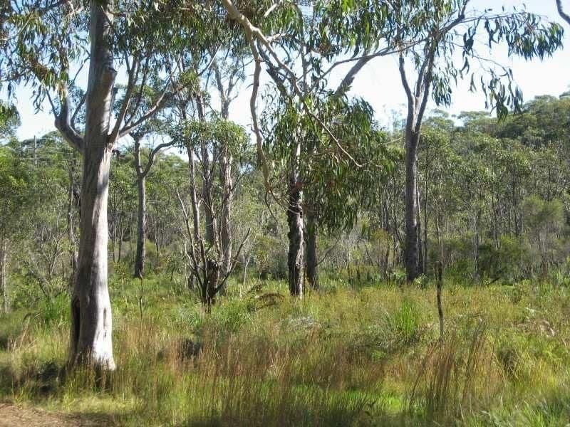 8-12 Duringan Street, Russell Island QLD 4184, Russell Island - Thumbnail 3